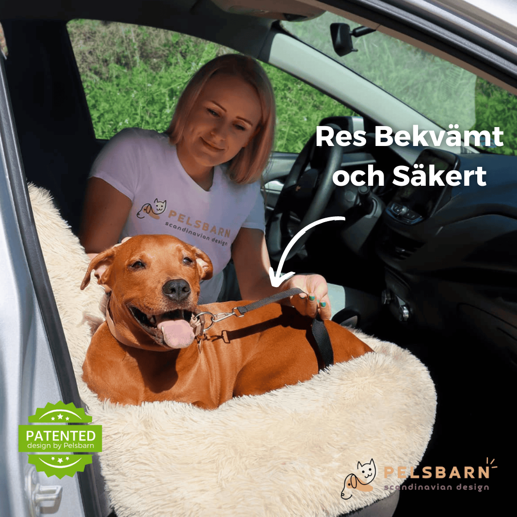 Skyddande Bilsäng För Ditt Husdjur - Main Product Image 1