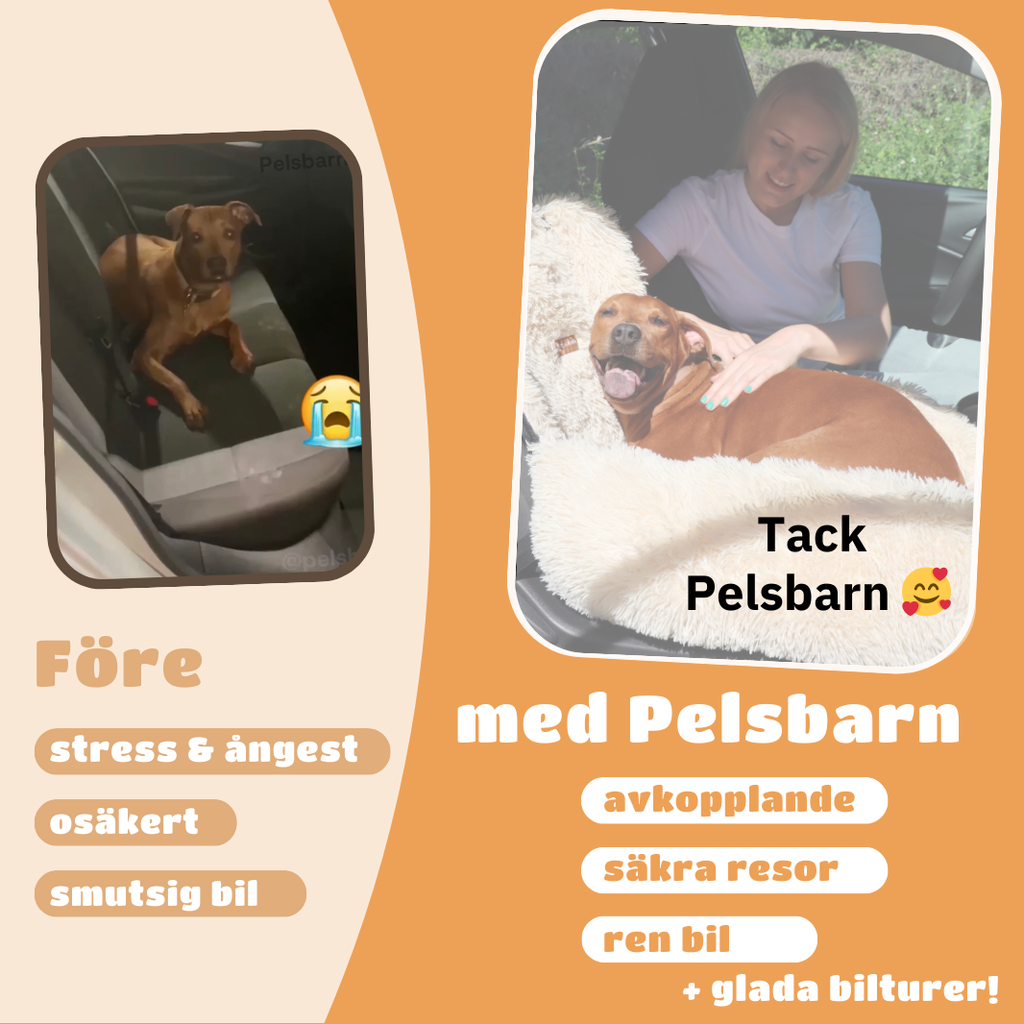 Skyddande Bilsäng För Ditt Husdjur - Main Product Image 2
