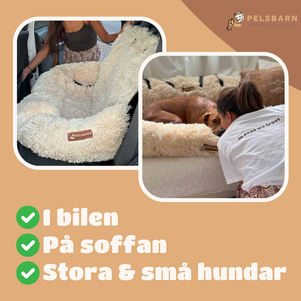 Skyddande Bilsäng För Ditt Husdjur - Main Product Image 11