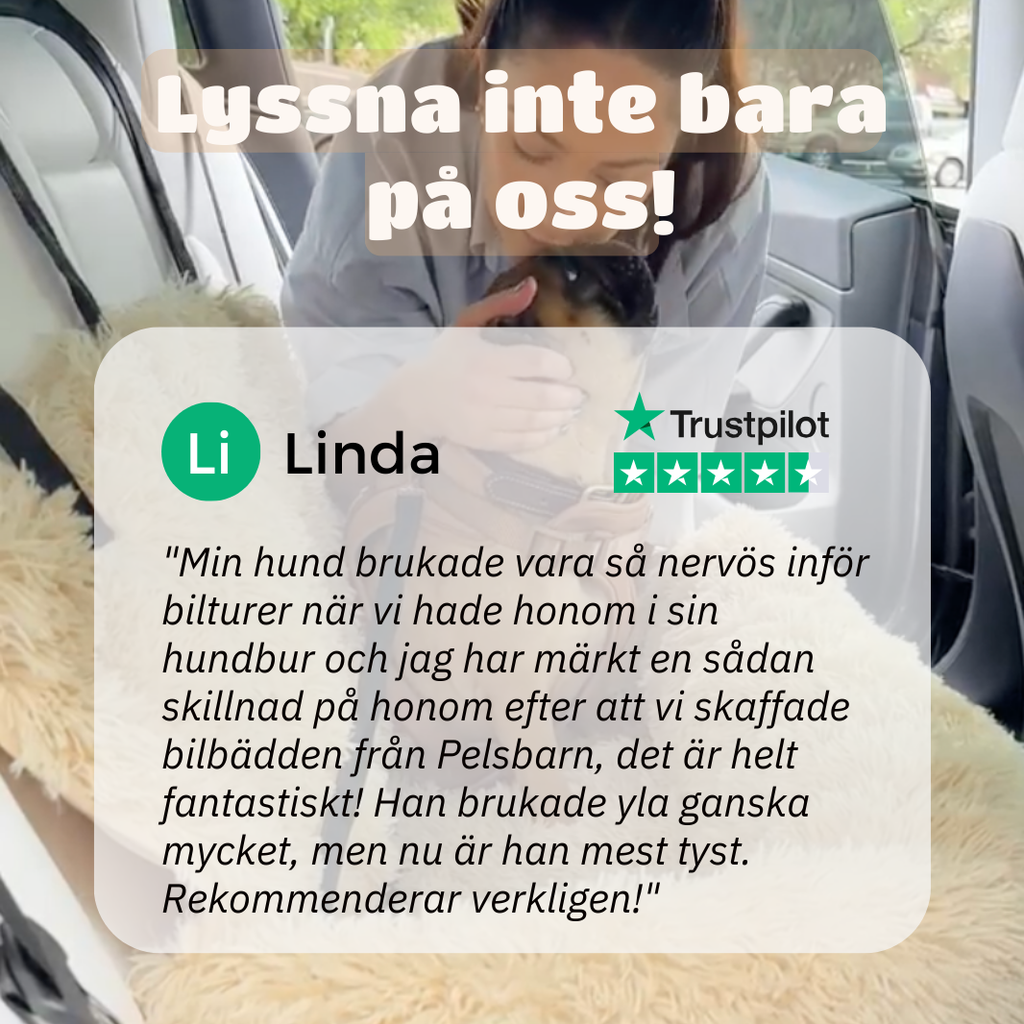 Skyddande Bilsäng För Ditt Husdjur - Main Product Image 13