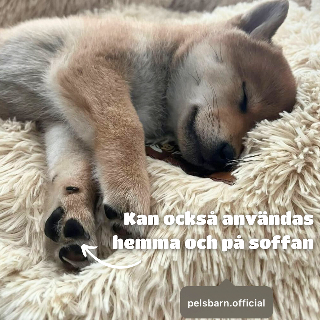 Skyddande Bilsäng För Ditt Husdjur - Main Product Image 23