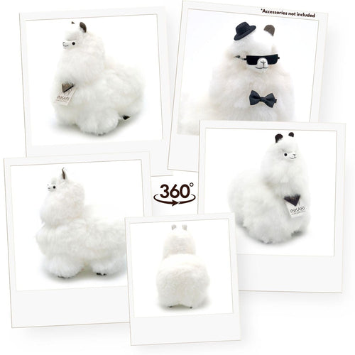 Alpaca Stuffed Animal - Naturals  - Main Product Image 1