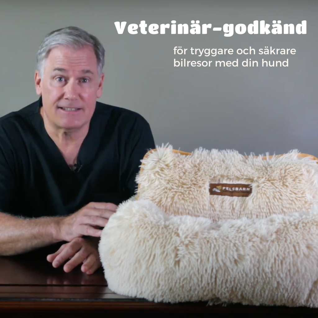 Skyddande Bilsäng För Ditt Husdjur - Main Product Image 17