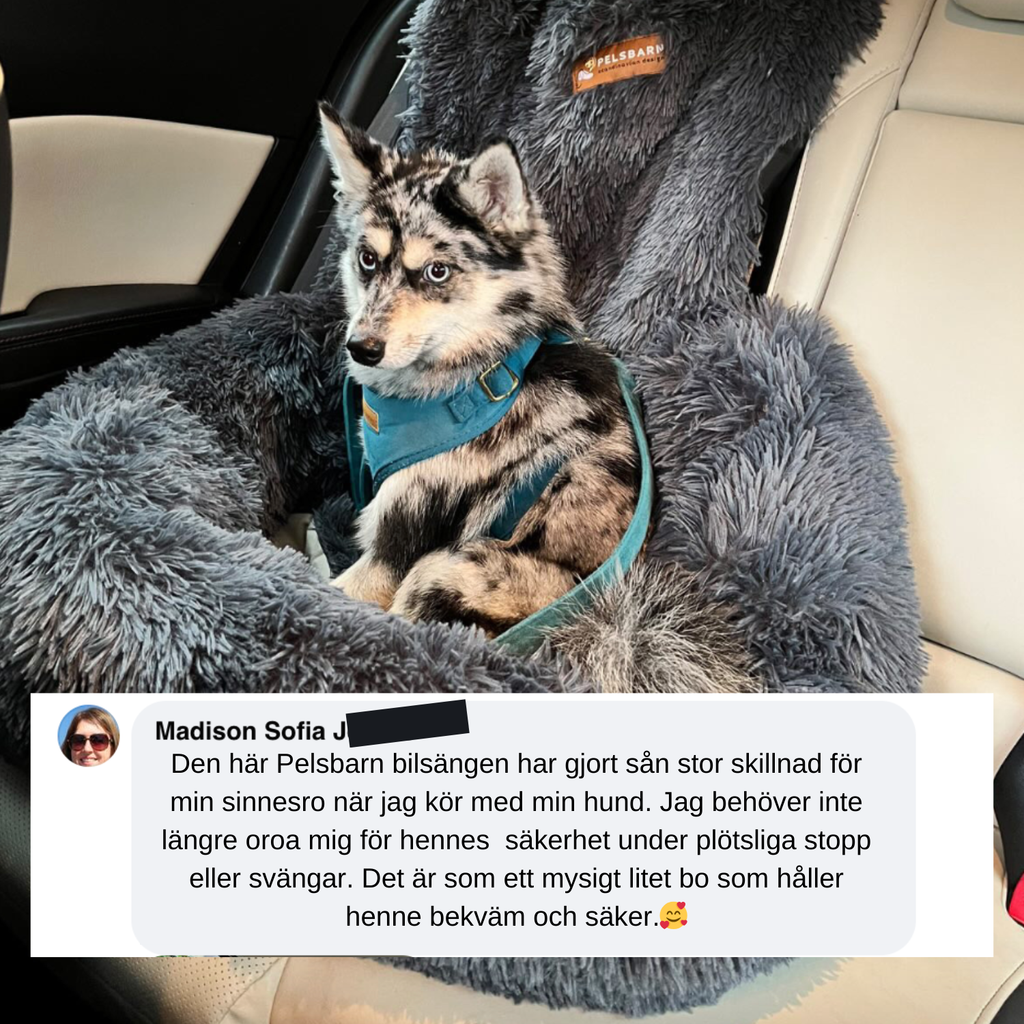 Skyddande Bilsäng För Ditt Husdjur - Main Product Image 14